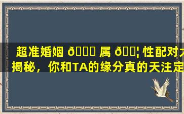 超准婚姻 🐝 属 🐦 性配对大揭秘，你和TA的缘分真的天注定